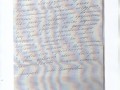 IMG 0046